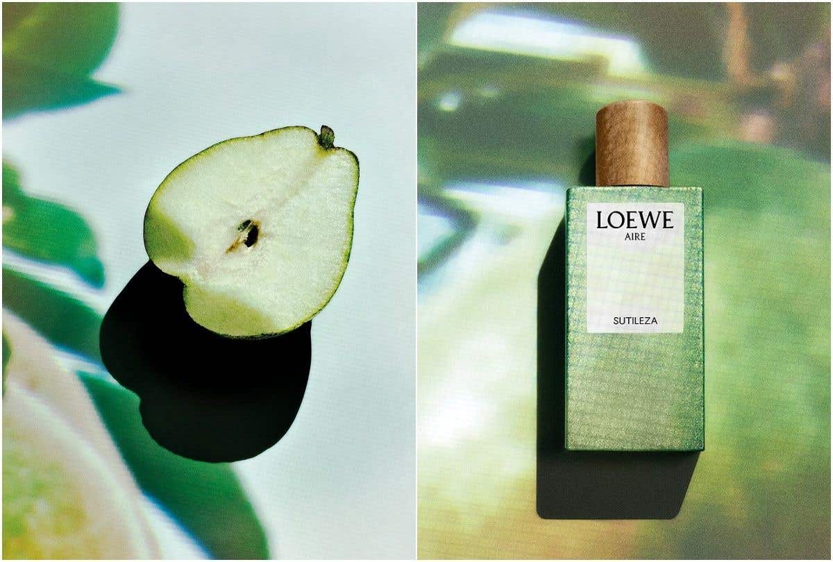 LOEWE 彩虹植物學香水系列：承載自然靈韻，匠心詮釋香氛工藝之美