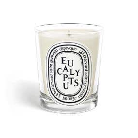 diptyque Scented Candle Eucalyptus 香氛蠟燭-尤加利