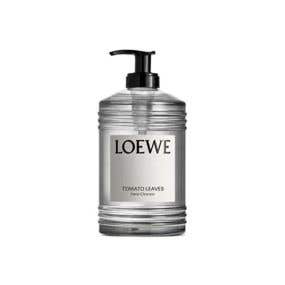 LOEWE 乾洗手_番茄葉 TOMATO LEAVES HAND CLEANSER