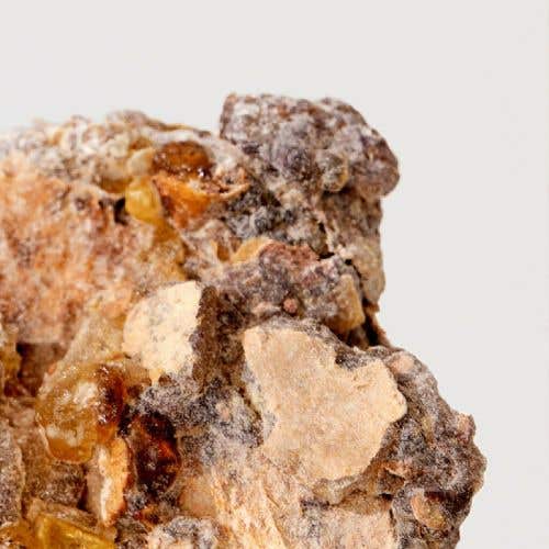 焚膏繼晷 濃香精