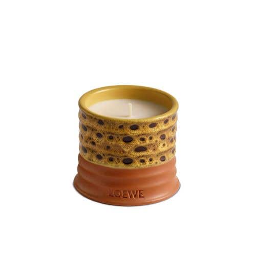LOEWE 金合歡香味質感蠟燭 mimosa candle