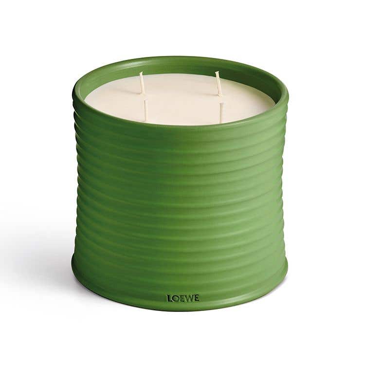 Buy LOEWE Luscious Pea Candle at The C of Cosmetics