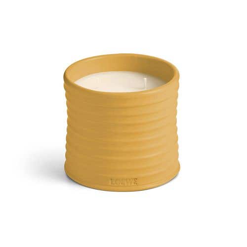 LOEWE 山葵香氛蠟燭 Wasabi Candle
Wasabi Candle