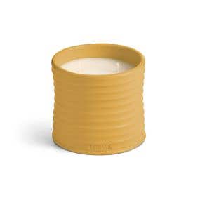 LOEWE 山葵香氛蠟燭 Wasabi Candle
Wasabi Candle